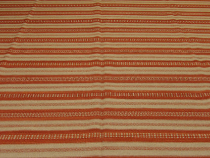 Coastal Flat-Weave Indoor/Outdoor Beach Rug 9'0"x12'0" Hand-knotted Rug -w10760