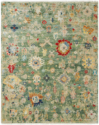 Transitional Hand Knotted Rug Wool - KLA15100