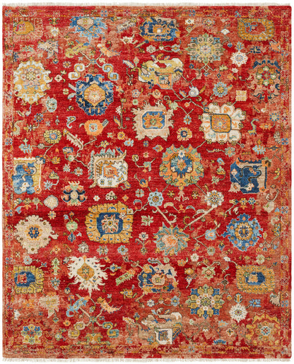 Transitional Hand Knotted Rug Wool - KLA15060