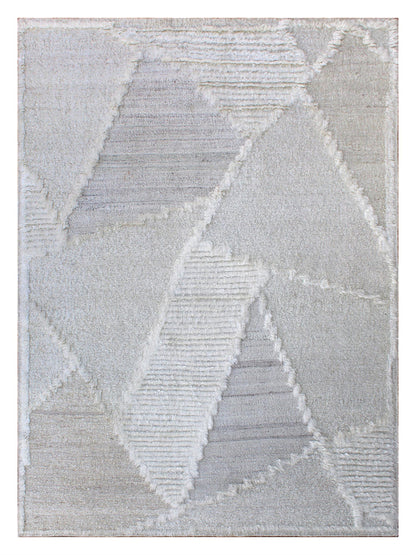 Modern Contemporary  Wool Hand Knotted Rug 9'04''x12'00''  - AR83040