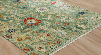 Transitional Hand Knotted Rug Wool - KLA15100