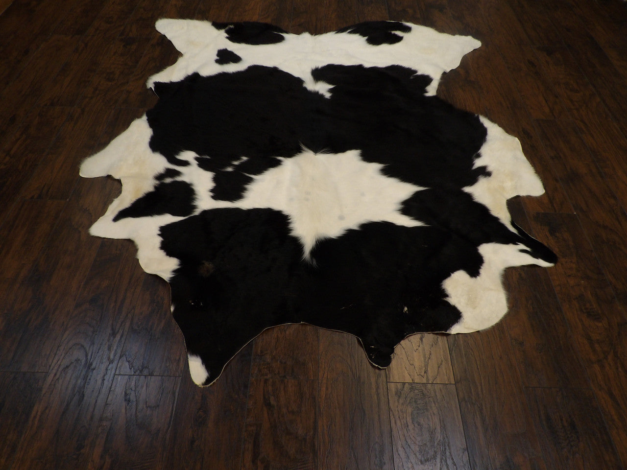 Close-up of cowhide texture and markings