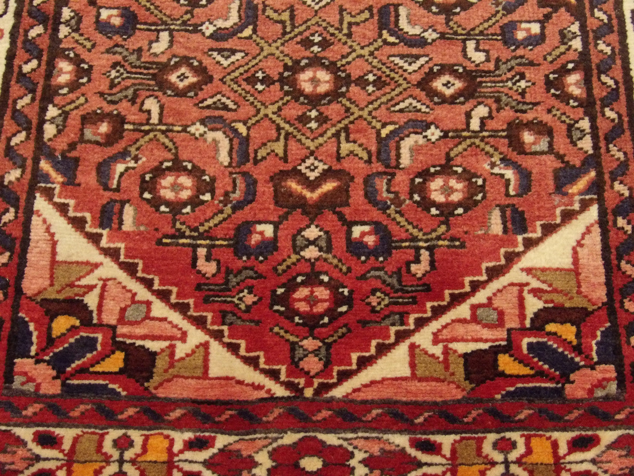 Hamadan runner border detail