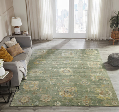 Transitional Hand Knotted Rug Wool - KOB0960