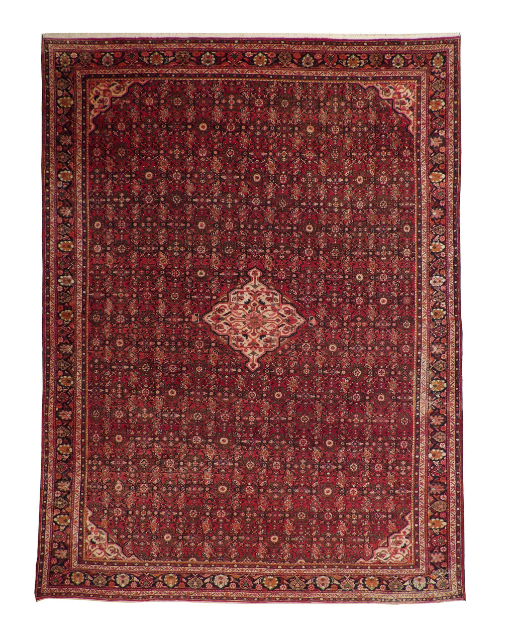 Traditional Antique Bidjar hand-knotted wool rug in Blue & Pink, full view