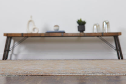 Dusty orange and beige transitional wool rug in room setting