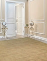 Beige transitional wool-silk rug in room setting