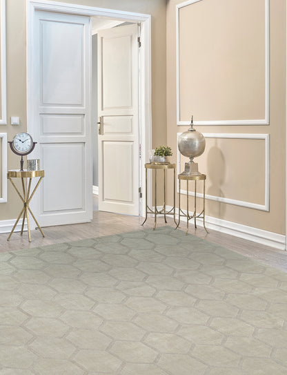 Beige and gray transitional wool-silk rug in room setting
