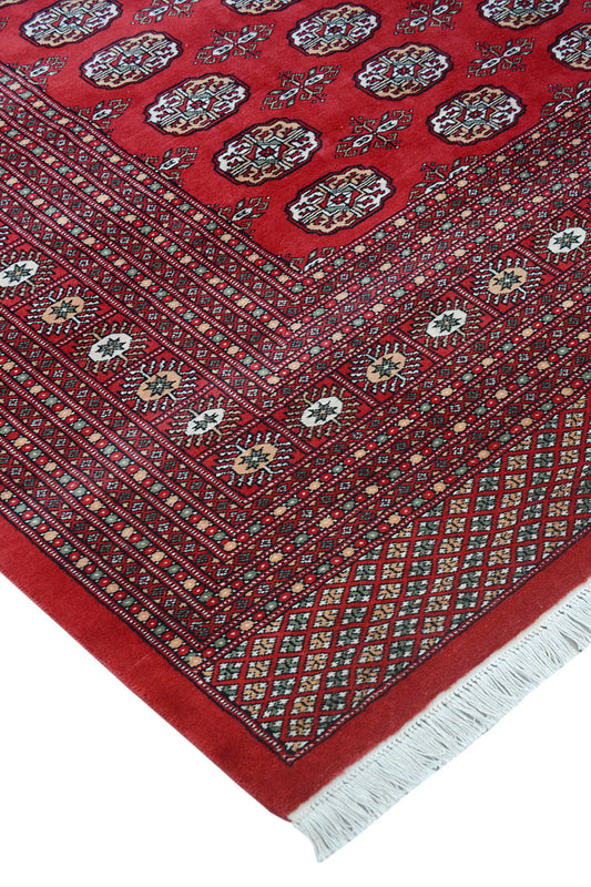Traditional Bokara Hand Knotted rug 12x18  -TN01