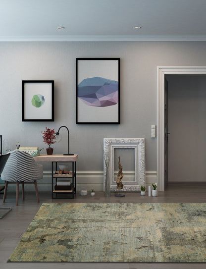 Hand Knotted Wool & Silk Classic/Fade Rug KLN2380