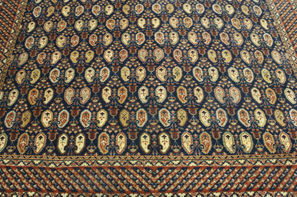 Traditional Fine Pesley Heraki Wool Hand Knotted Rug 6X9 - w5121