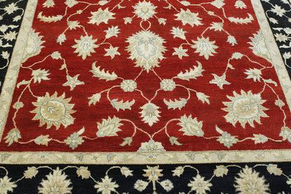 Tribal Agra Zigler Wool Hand Knotted Rug 6X9 - w20124