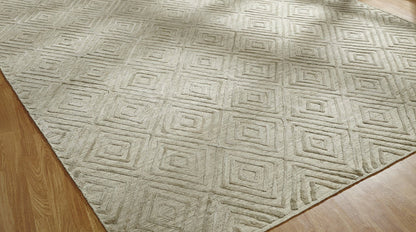 Hand Loom Wool & Silk Transitional Rug KTT5930