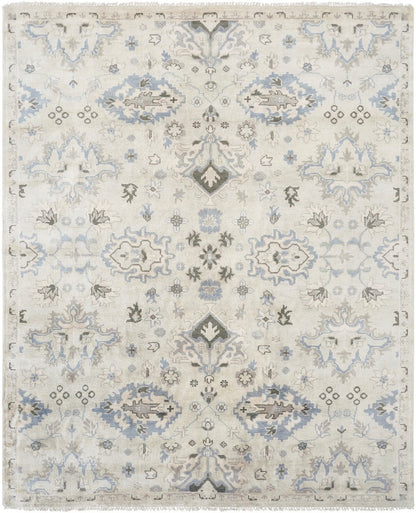 Transitional hand-knotted wool rug in beige and gray, full view