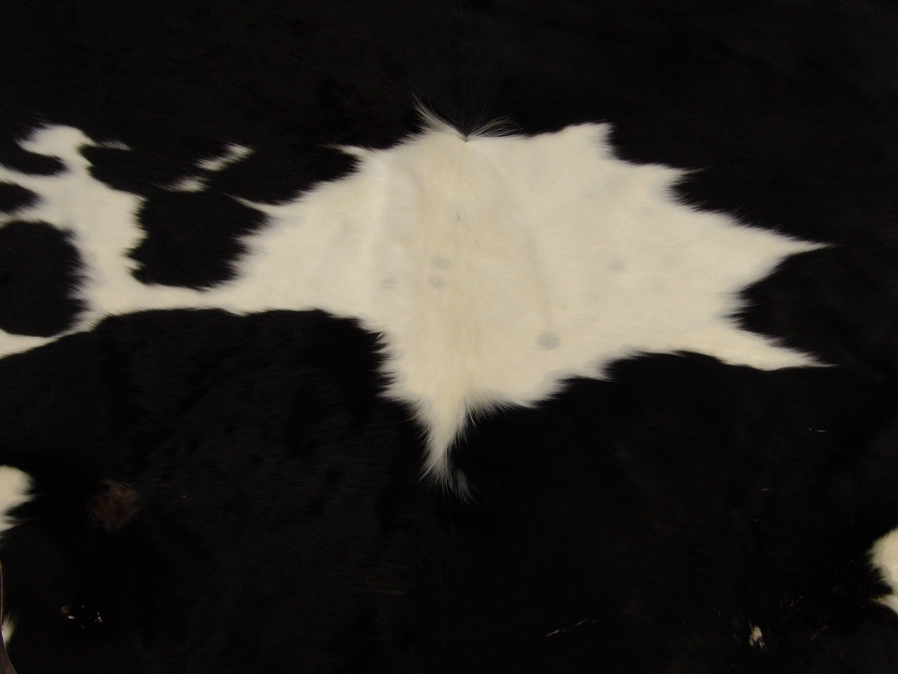 Cowhide rug edge detail, black and white