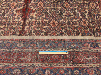Beige & Red Antique Sherapi rug in room setting