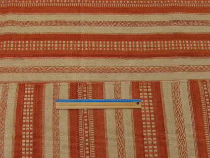Ivory and rust coastal rug in room setting