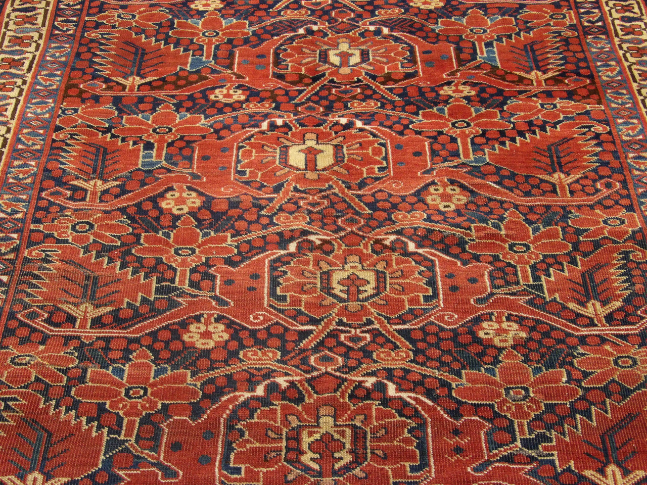 Back of Turkish Shirvan hand-knotted rug
