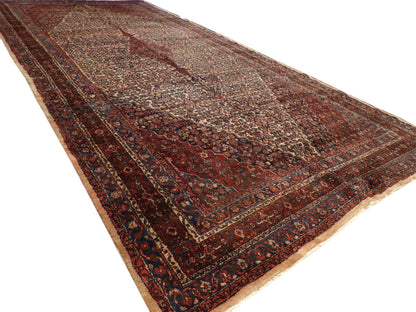 Full view of Antique Sherapi rug