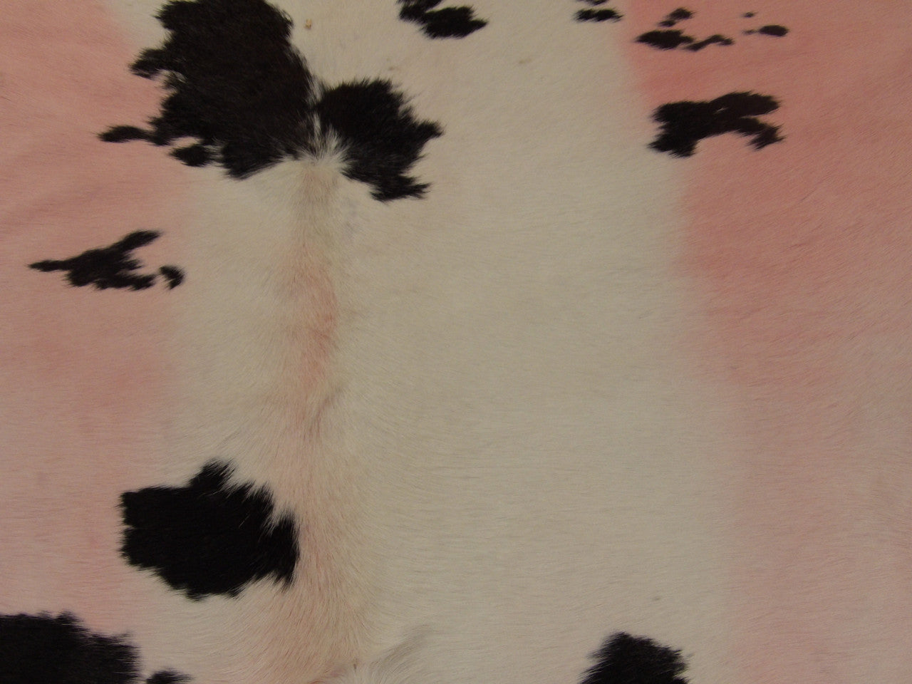 Cowhide texture close-up, pink natural markings