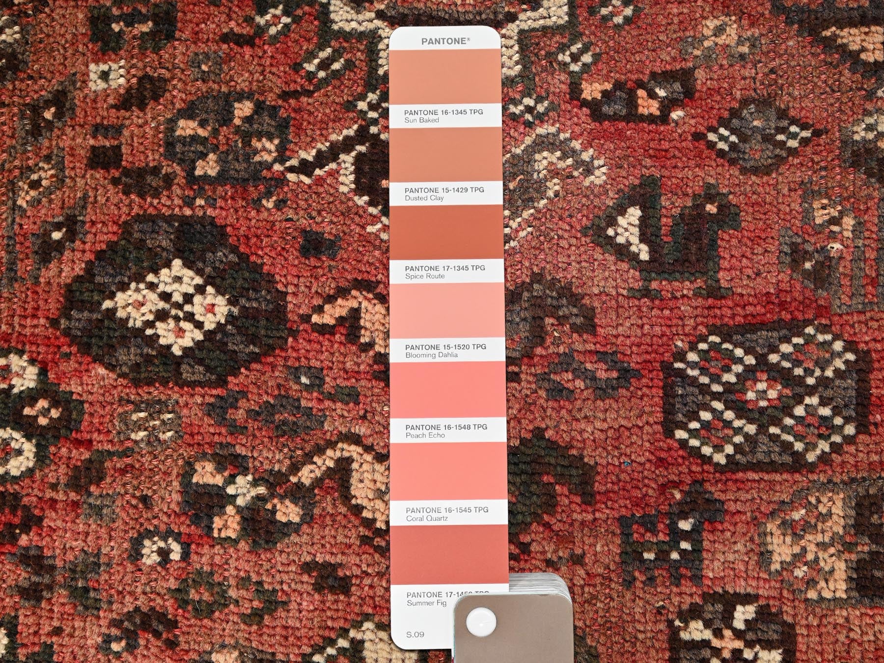 Shiraz Vintage hand-knotted wool rug in Red & Ivory, 5'3" x 7'7" — SKU O01703 (view 4)