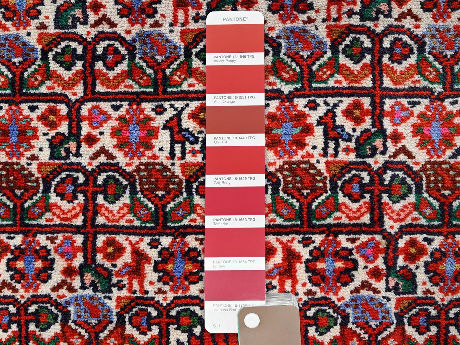 Hamadan Persian hand-knotted wool runner in Ivory & Red, 2'8" x 6'6" — SKU O01875 (view 4)