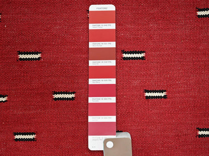Flat-Weave hand-knotted wool rug in Red, 9'1" x 11'7" — SKU O02248 (view 5)