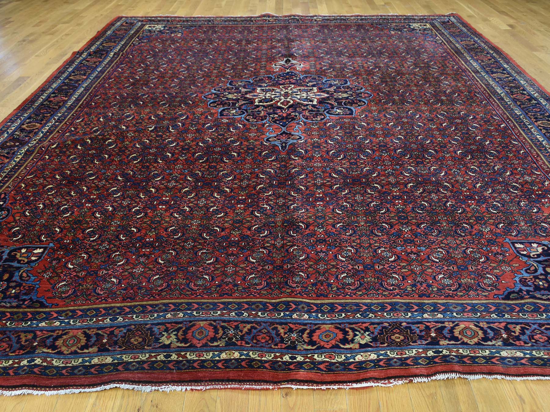 Antique hand-knotted wool rug in Red & Navy Blue, 10'5" x 13'9" — SKU O032840 (view 2)