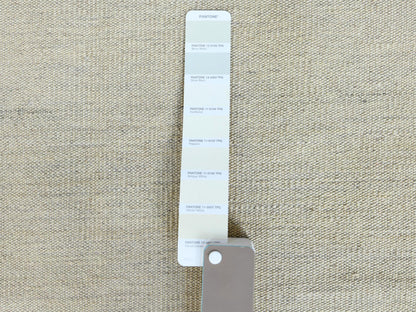 Ivory 6'3" x 9'0" Flat Weave Hand woven Wool Rug - Sku: O060082
