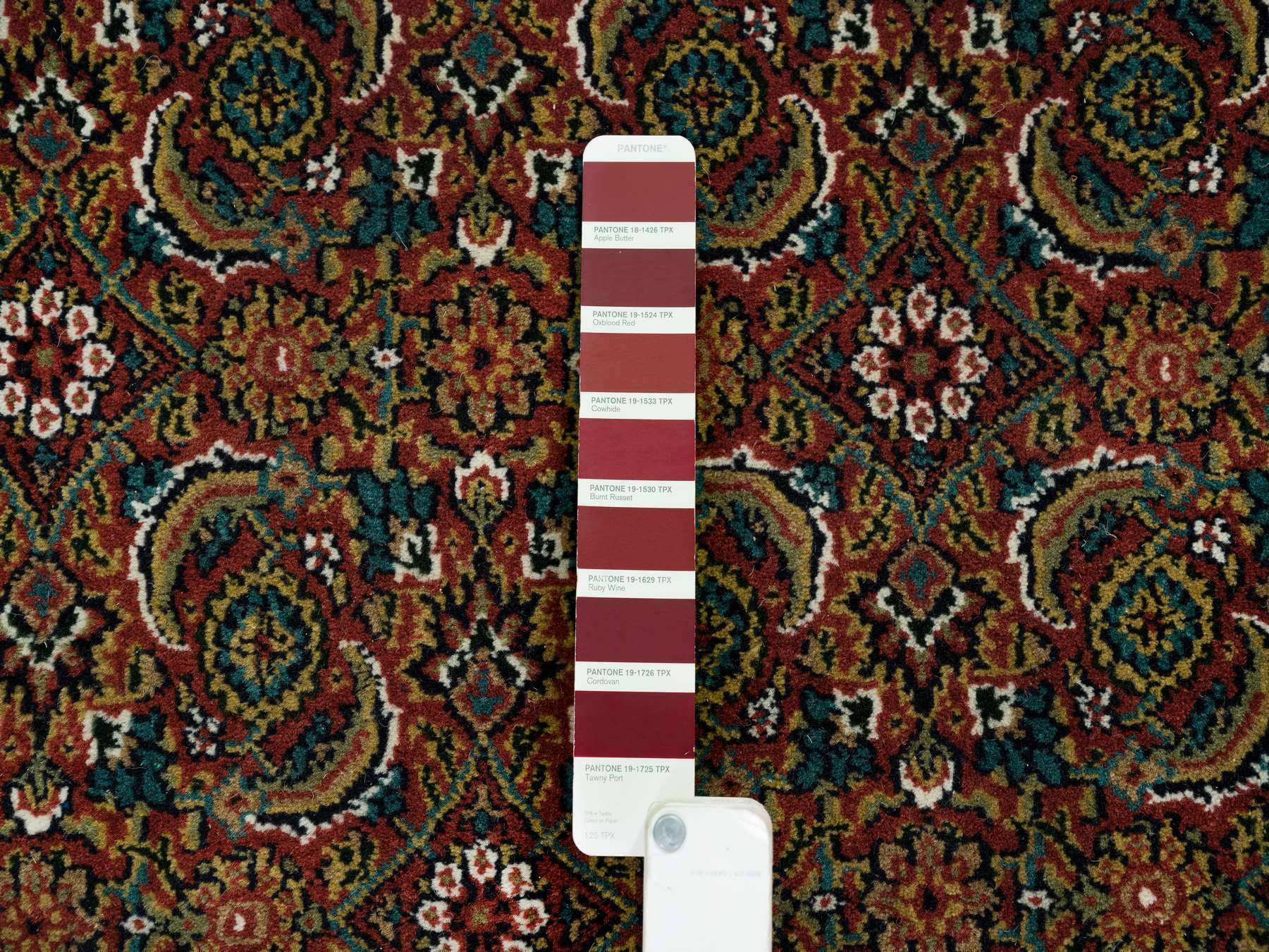 Herati Fine Oriental hand-knotted wool rug in Red & Midnight Blue, 6' x 9'5" — SKU O065109 (view 7)
