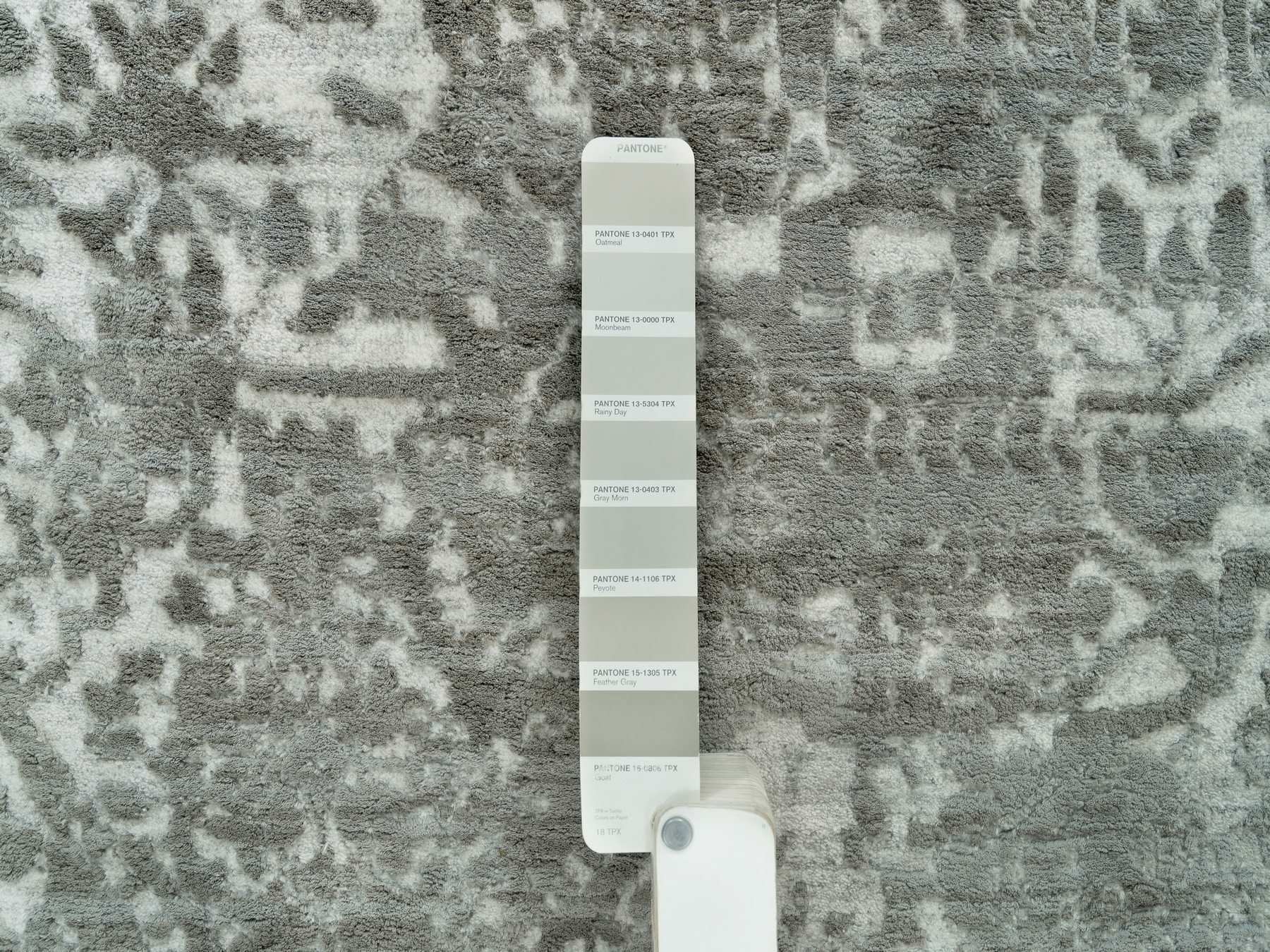Transitional hand-knotted wool/silk rug in Gray, 8'11" x 11'11" — SKU O065873 (view 7)