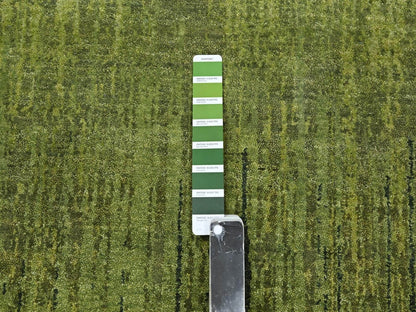 Modern / Contemporary hand-knotted wool rug in Green, 6'2" x 6'2" — SKU O075859 (view 4)