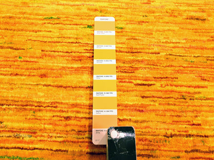 Yellow 8'11" x 11'10" Modern / Contemporary Hand knotted Silk Rug - Sku: O076068