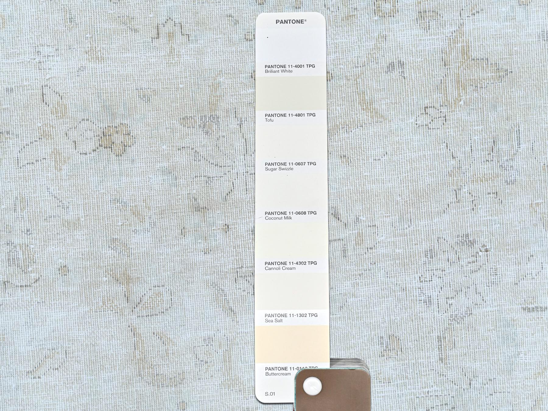Kerman Vintage hand-knotted worn wool rug in Ivory & Brown, 9'7" x 12'6" — SKU O081624 (view 7)