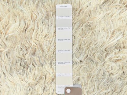 Beige 3'1" x 5'3" Modern and Contemporary Hand knotted Wool Rug - Sku: O082570