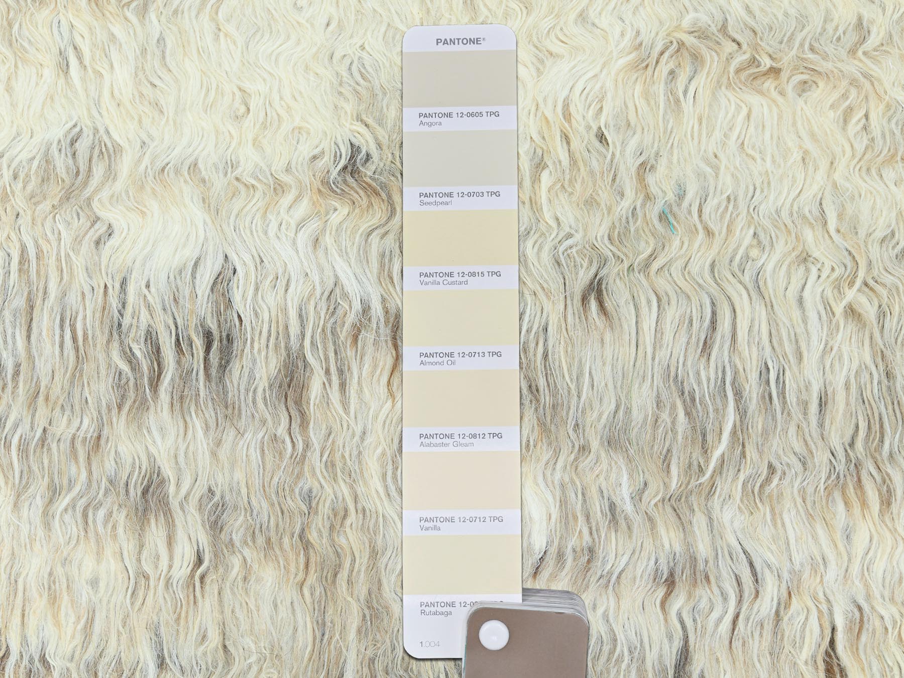 Tribal & Geometric hand-knotted wool rug in Ivory, 12'4" x 18'1" — SKU O082987 (view 7)
