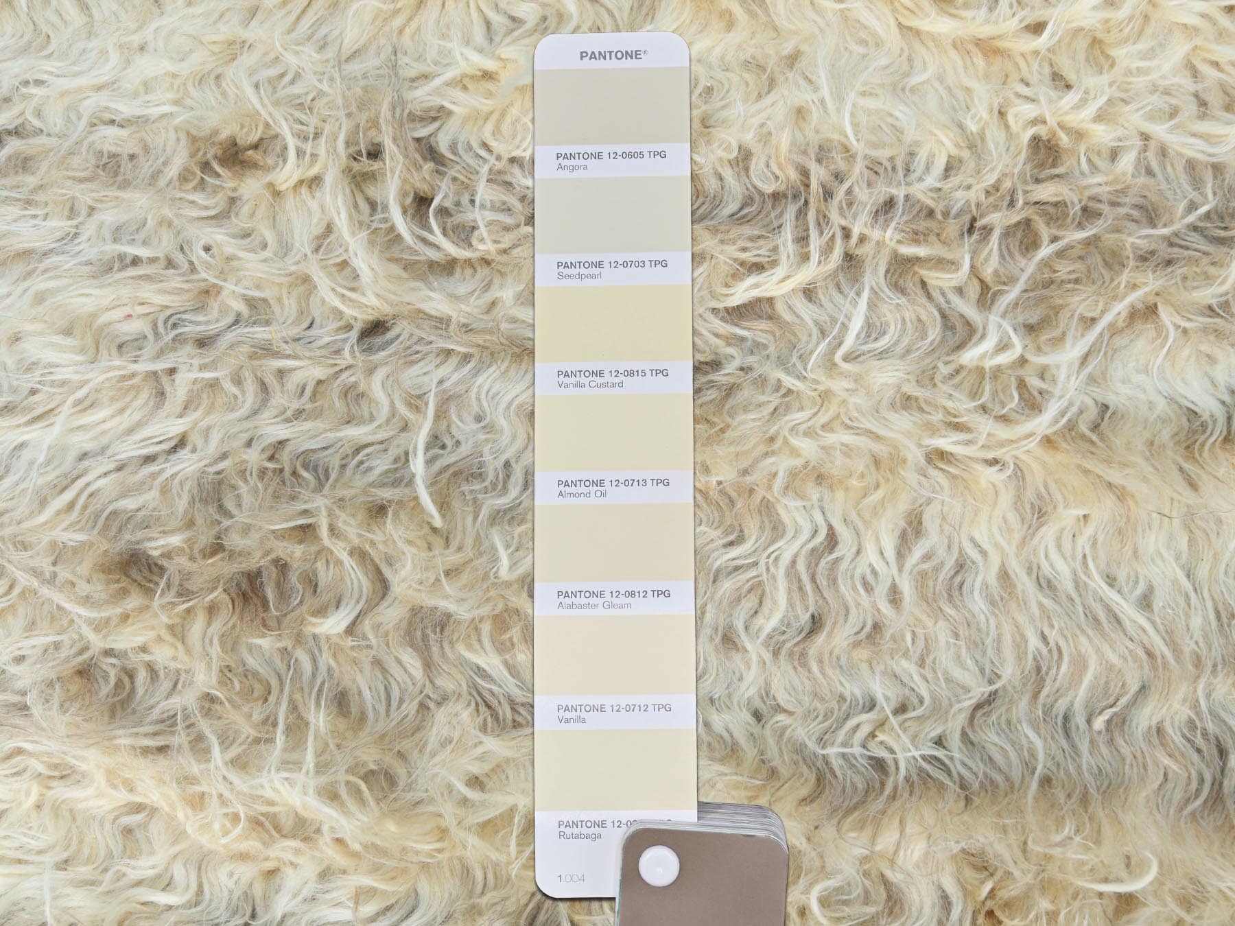 Tribal & Geometric hand-knotted wool runner in Ivory, 2'6" x 8' — SKU O082990 (view 4)