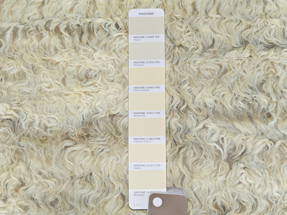 Tribal & Geometric hand-knotted wool rug in Ivory, 6' x 6'1" — SKU O082991 (view 4)