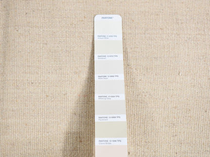 Kilim Flat-Weave hand-knotted wool rug in Ivory, 8' x 10'2" — SKU O087910 (view 7)
