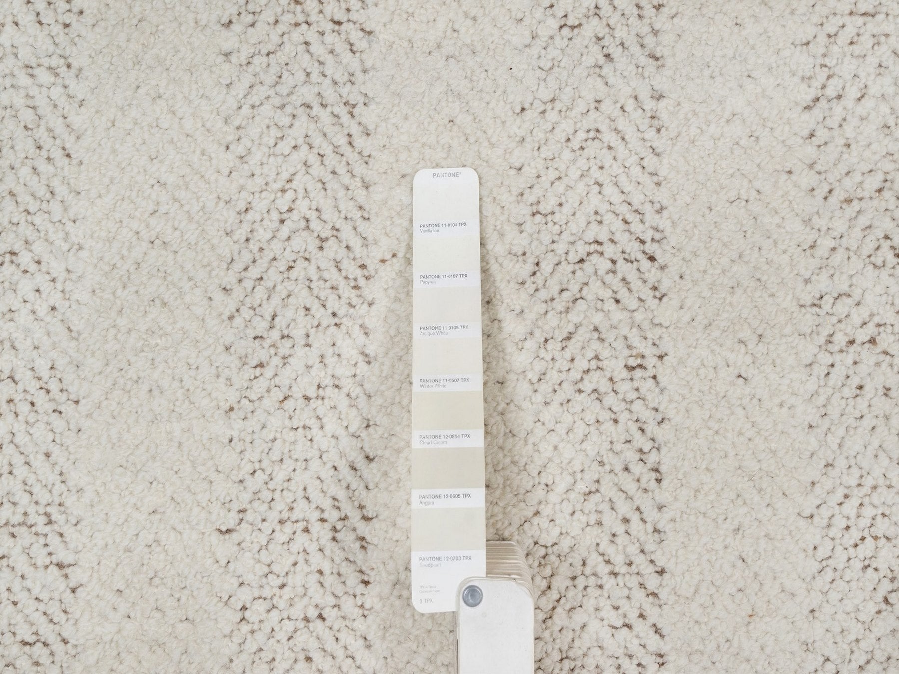 Modern / Contemporary hand-knotted wool rug in Ivory & Chocolate Brown, 9'1" x 12' — SKU O092150 (view 7)