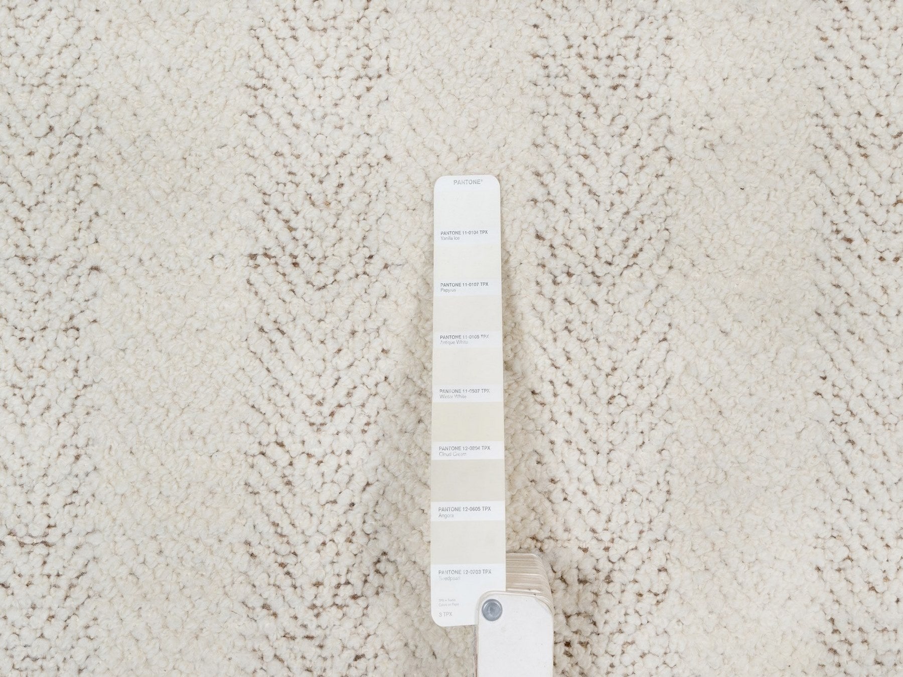Modern / Contemporary hand-knotted wool rug in Ivory & Chocolate Brown, 10' x 14' — SKU O092151 (view 7)