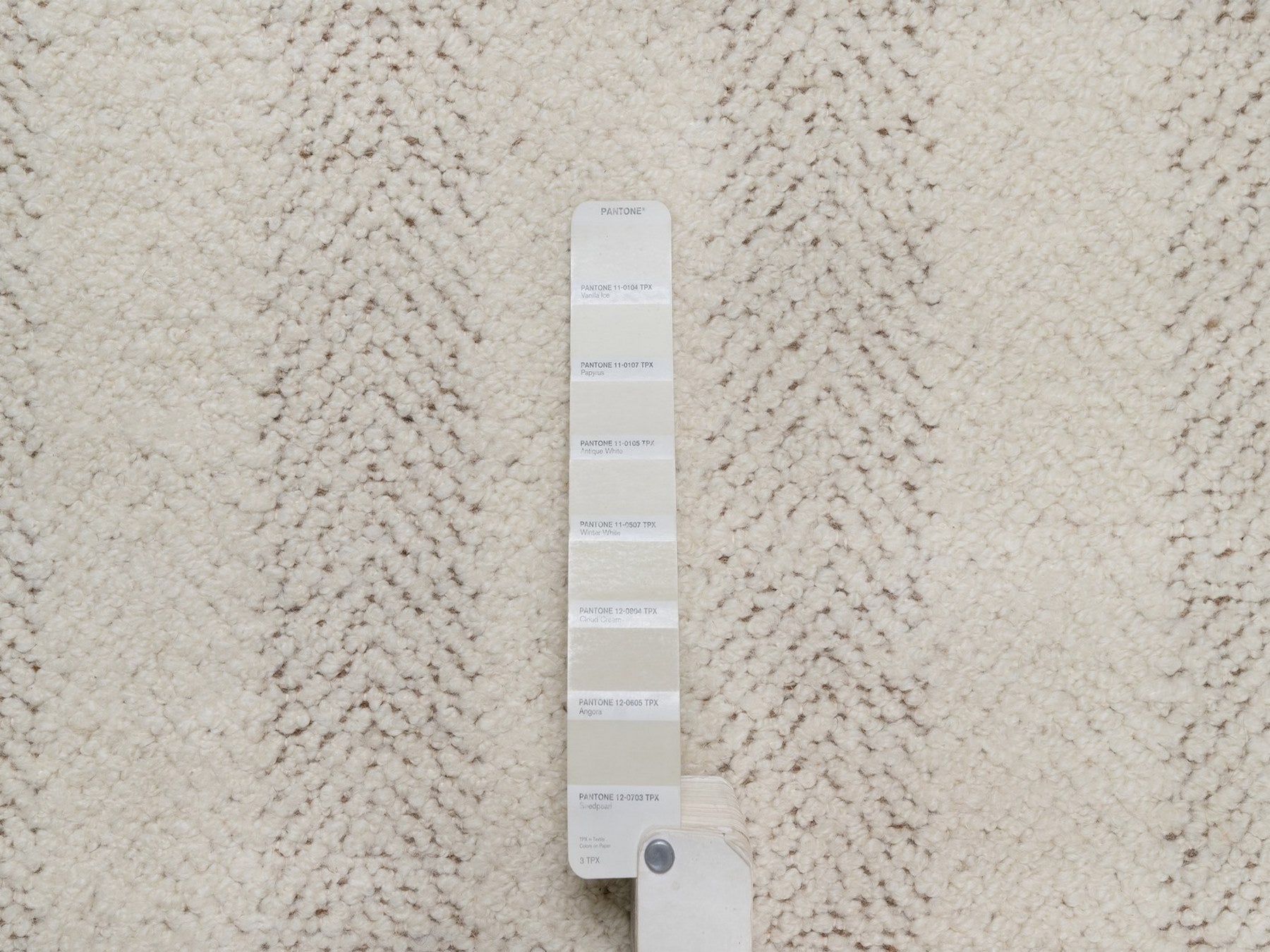 Modern / Contemporary hand-knotted wool runner in Ivory & Chocolate Brown, 2'5" x 10' — SKU O092262 (view 4)