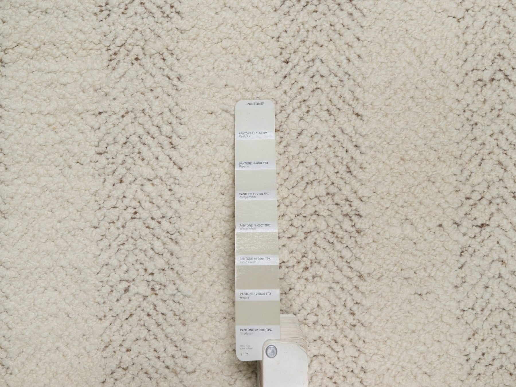 Modern / Contemporary hand-knotted wool rug in Ivory & Chocolate Brown, 5'1" x 5'1" — SKU O092280 (view 4)