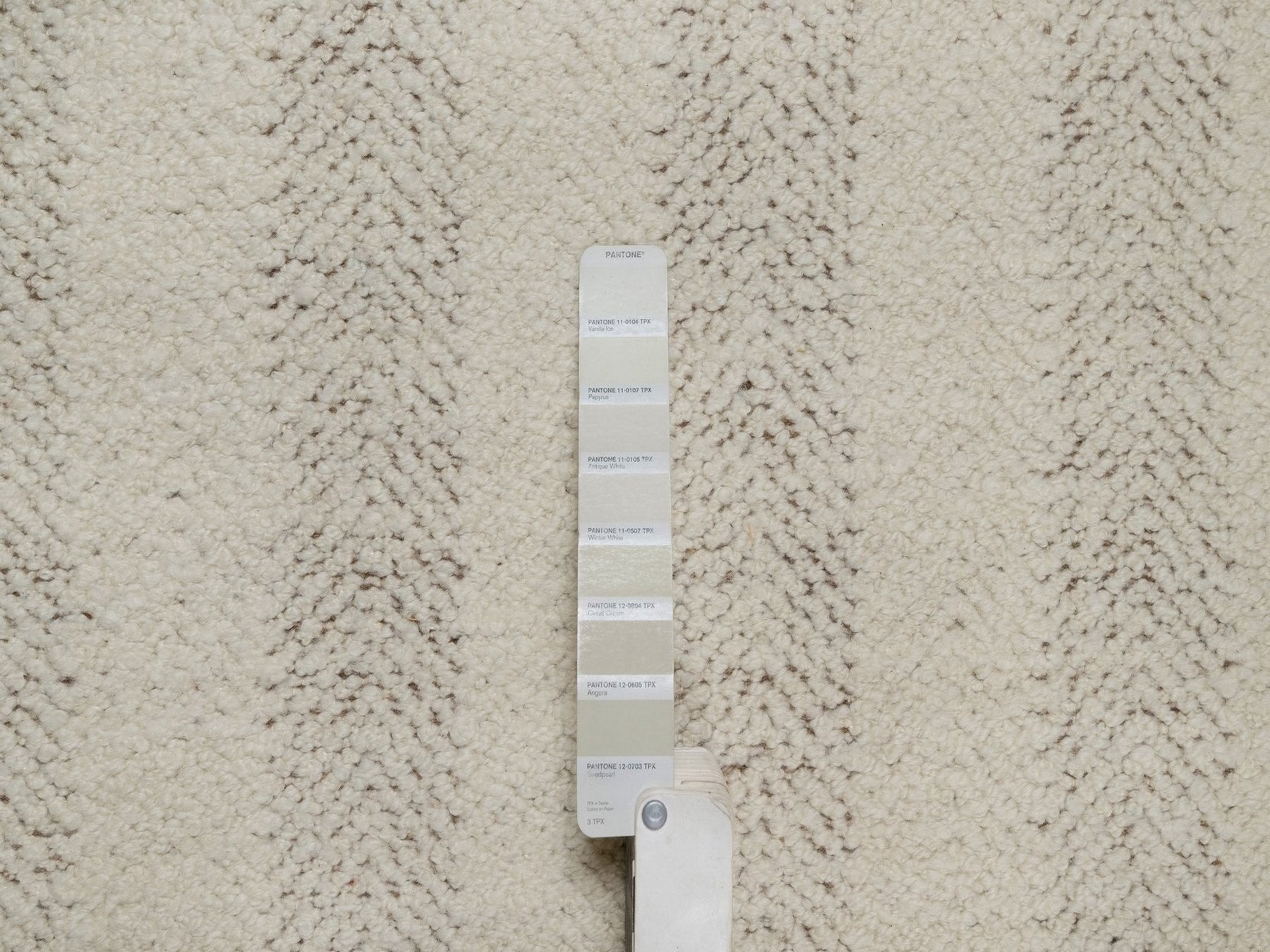 Modern / Contemporary hand-knotted wool rug in Ivory & Chocolate Brown, 7'9" x 7'9" — SKU O092298 (view 7)