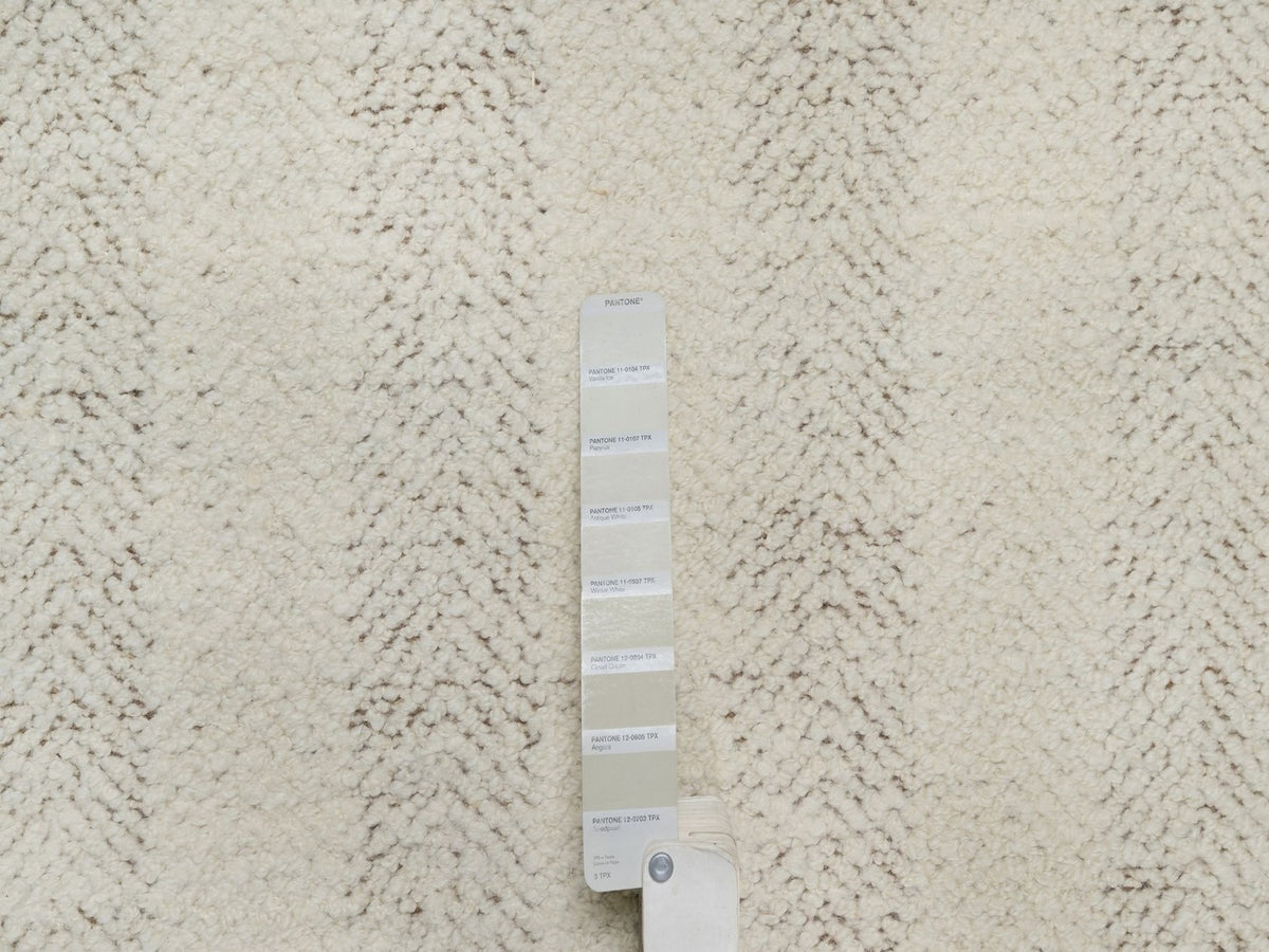 Modern / Contemporary hand-knotted wool rug in Ivory & Chocolate Brown, 12' x 14'11" — SKU O092301 (view 7)