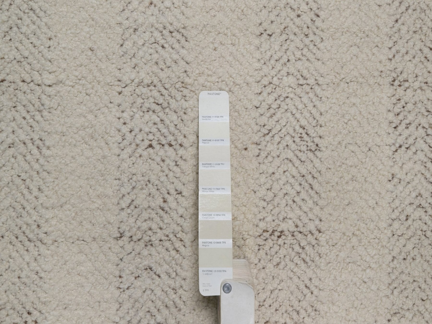 Modern / Contemporary hand-knotted wool rug in Ivory & Chocolate Brown, 5'11" x 5'11" — SKU O092312 (view 4)