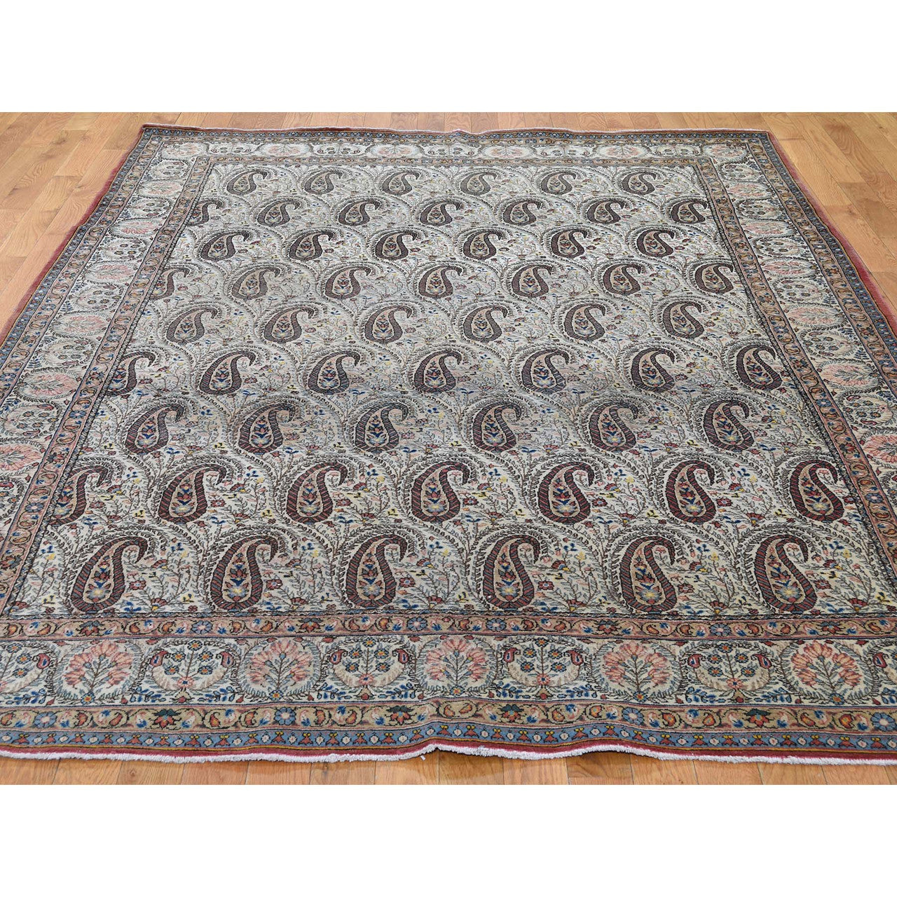 Antique Wool Hand Knotted Rug Ivory No Border 6.3X8.9 -O044939