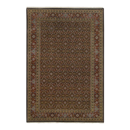Fine Oriental Wool Hand Knotted Rug Black Red 5.10X9.1 -O065115