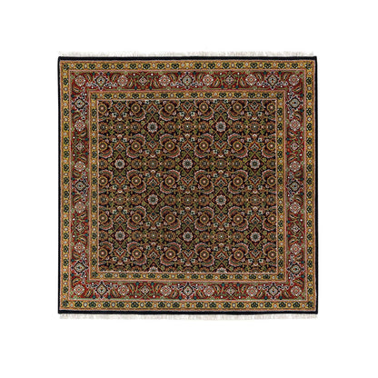 Fine Oriental Wool Hand Knotted Rug Black Sangria Red 5.1X5.3 -O065802