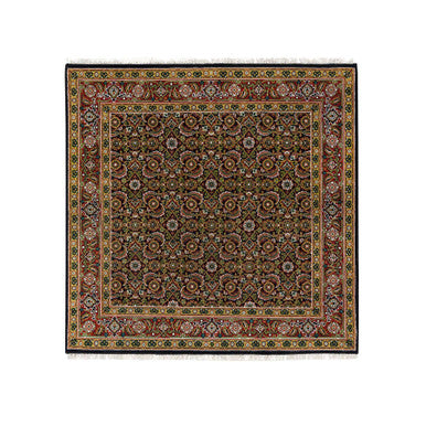 Fine Oriental Wool Hand Knotted Rug Black Sangria Red 5.1X5.3 -O065802